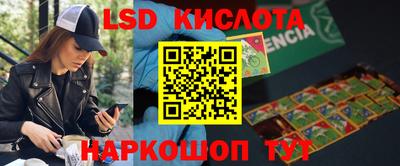 индика Тверь