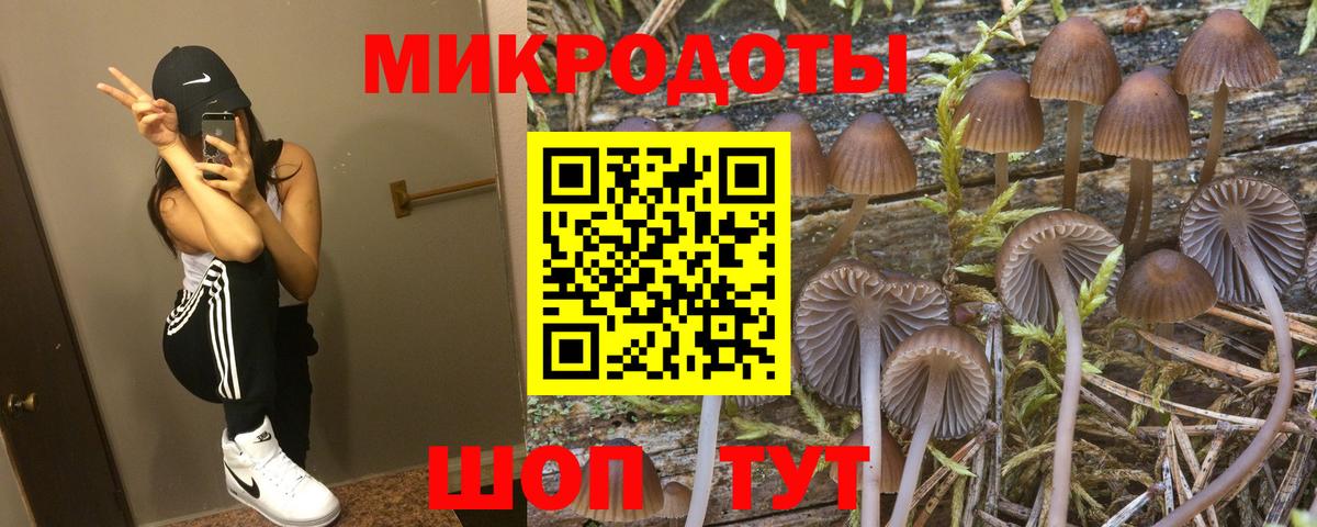 Псилоцибиновые грибы мухоморы Нововоронеж